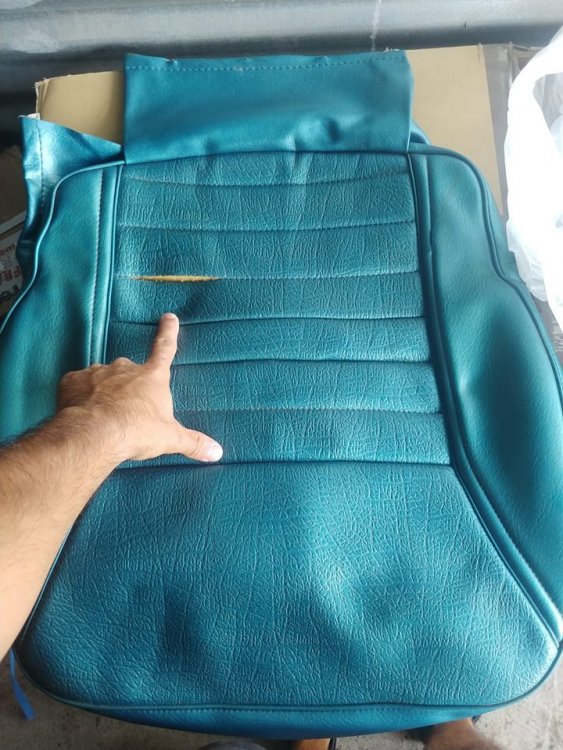 38542136_484324252010604_9139202484718272512_n (1).jpg