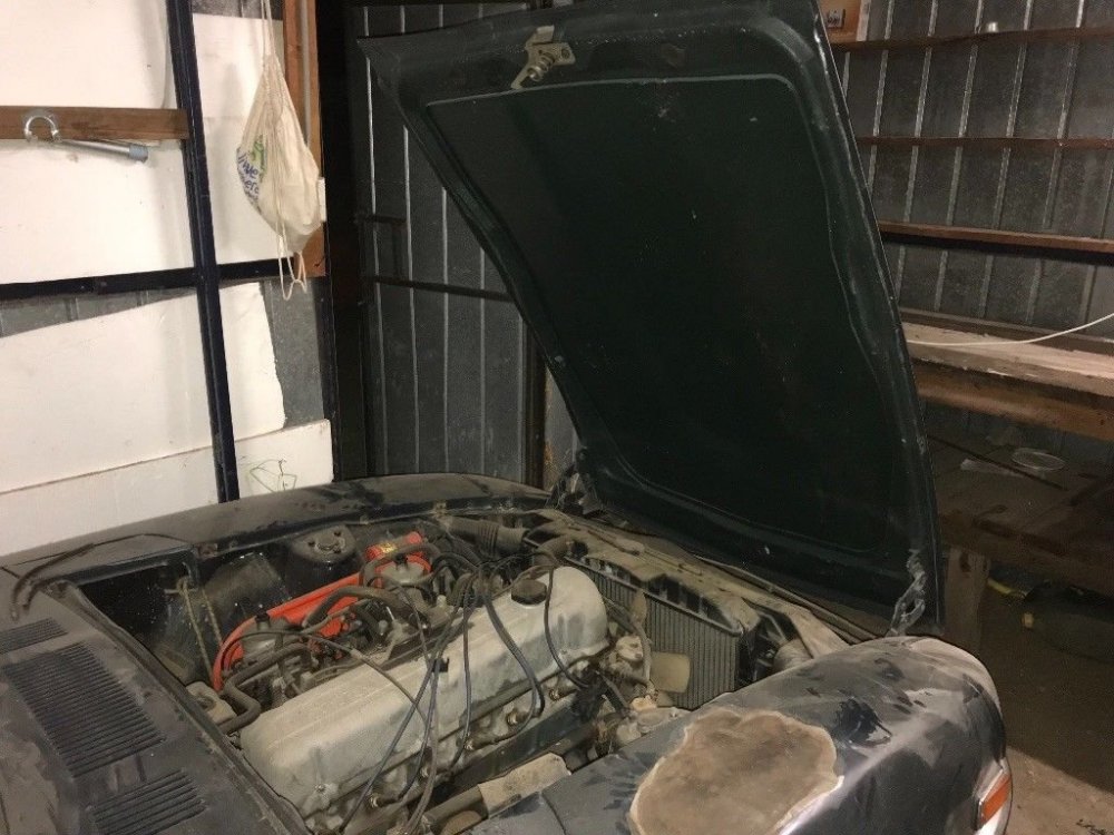260z 5.jpg