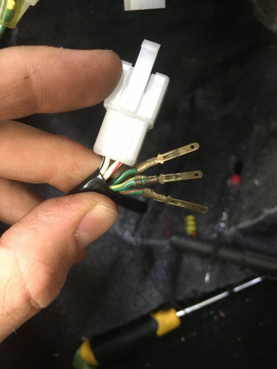 1793127734_turnsignalswitchtoharness.thumb.jpg.32082ba9d7c664ee79e69294f437c895.jpg