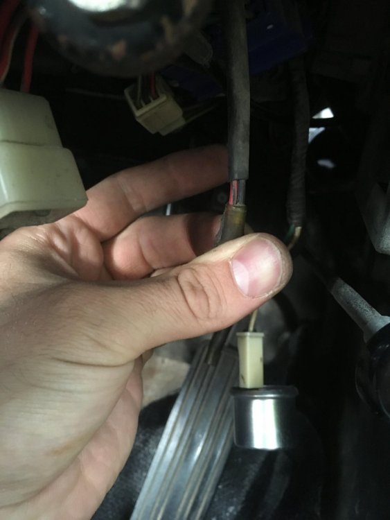 381731270_loosewirespair.thumb.jpg.5b970a7b838be4ac5f9fcb8a7d92a2a4.jpg