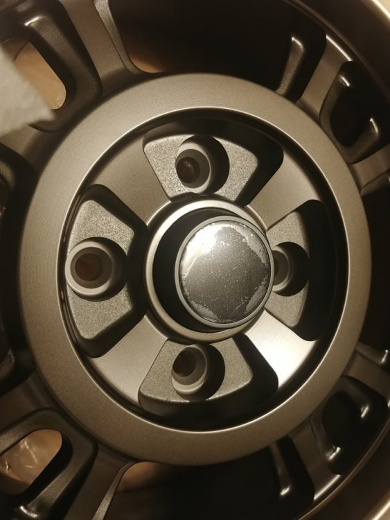56749294_491926691342751_6485129080537612288_n.jpg