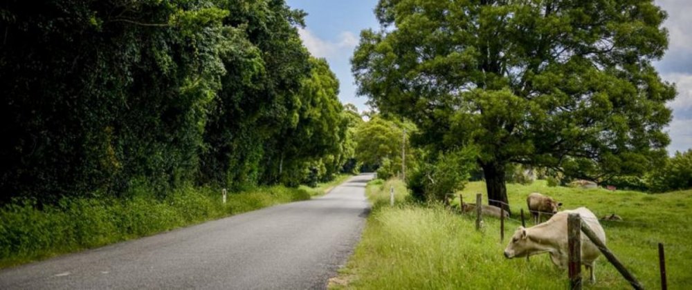 Kangaroo Valley XX.jpg