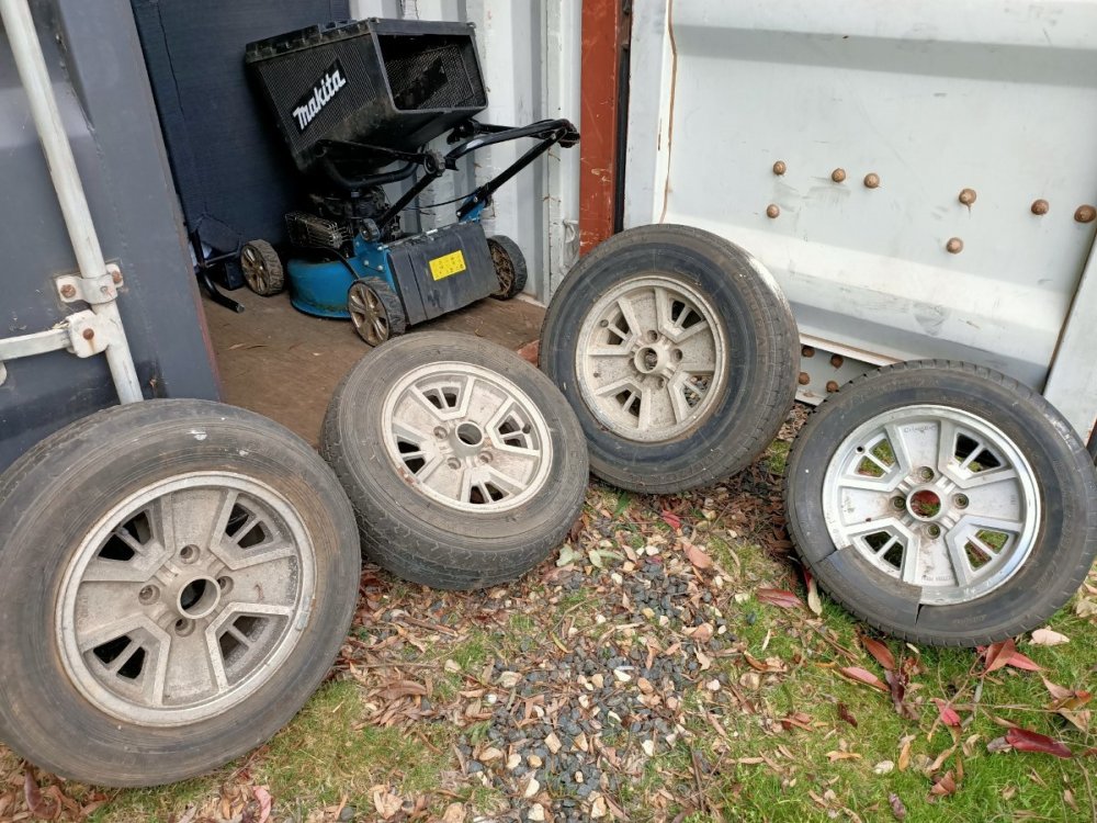 IMG20211031173458.jpg