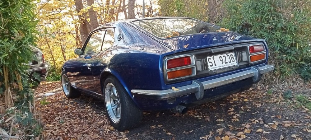 347020752_780999340190644_5532833044510395911_n.jpg